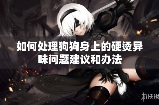 如何處理狗狗身上的硬燙異味問題建議和辦法