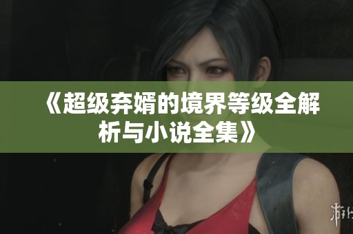 《超級棄婿的境界等級全解析與小說全集》