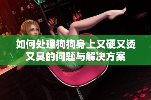 如何處理狗狗身上又硬又燙又臭的問題與解決方案