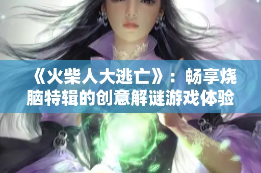 《火柴人大逃亡》：暢享燒腦特輯的創(chuàng)意解謎游戲體驗(yàn)