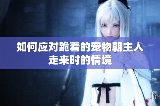 如何應對跪著的寵物朝主人走來時的情境