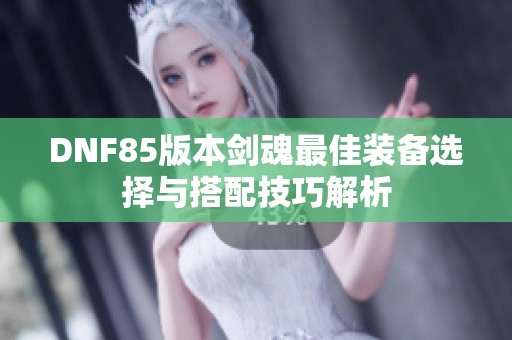 DNF85版本劍魂最佳裝備選擇與搭配技巧解析