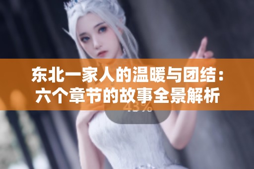 東北一家人的溫暖與團(tuán)結(jié)：六個(gè)章節(jié)的故事全景解析