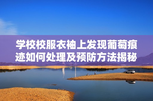 學(xué)校校服衣袖上發(fā)現(xiàn)葡萄痕跡如何處理及預(yù)防方法揭秘