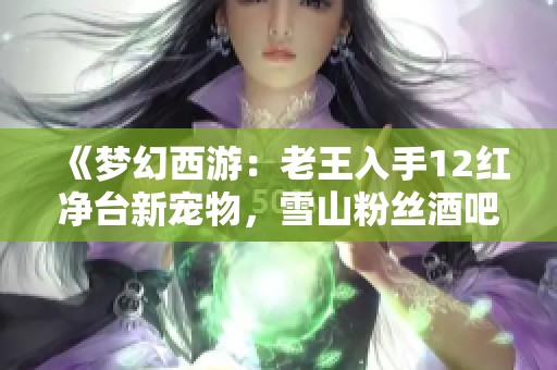 《夢幻西游：老王入手12紅凈臺新寵物，雪山粉絲酒吧宣傳真有趣》