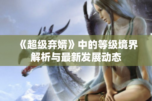 《超級棄婿》中的等級境界解析與最新發展動態