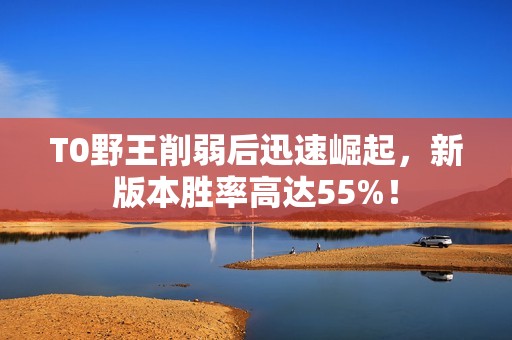 T0野王削弱后迅速崛起，新版本勝率高達55%！