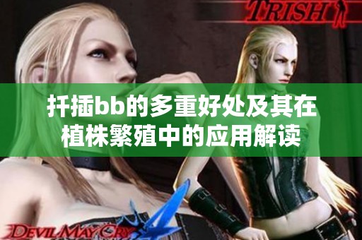 扦插bb的多重好處及其在植株繁殖中的應(yīng)用解讀