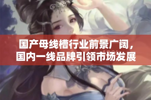 國產母線槽行業前景廣闊，國內一線品牌引領市場發展