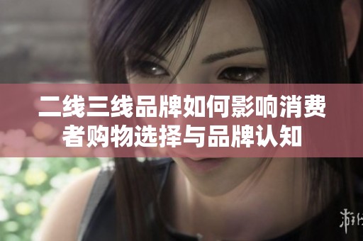 二線三線品牌如何影響消費者購物選擇與品牌認知
