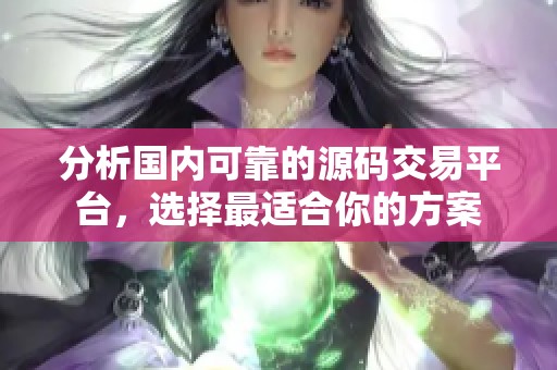 分析國內(nèi)可靠的源碼交易平臺，選擇最適合你的方案