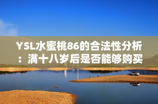 YSL水蜜桃86的合法性分析：滿十八歲后是否能夠購買使用