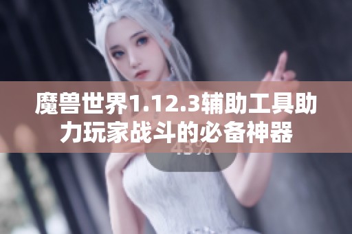 魔獸世界1.12.3輔助工具助力玩家戰斗的必備神器