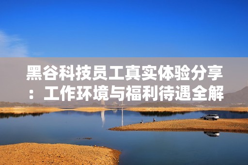 黑谷科技員工真實體驗分享：工作環境與福利待遇全解析