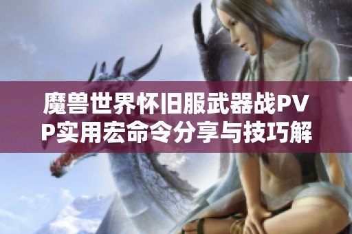 魔獸世界懷舊服武器戰PVP實用宏命令分享與技巧解析