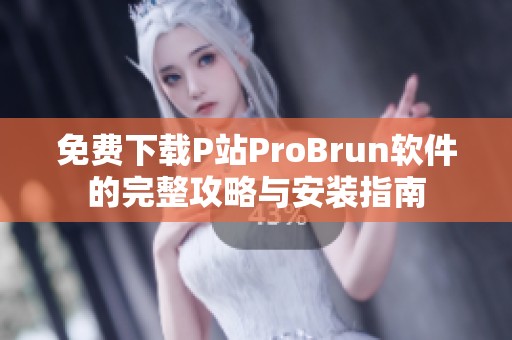 免費下載P站ProBrun軟件的完整攻略與安裝指南