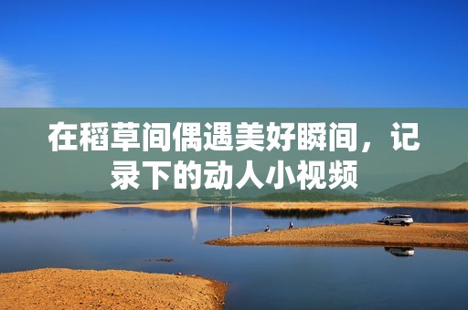 在稻草間偶遇美好瞬間，記錄下的動人小視頻