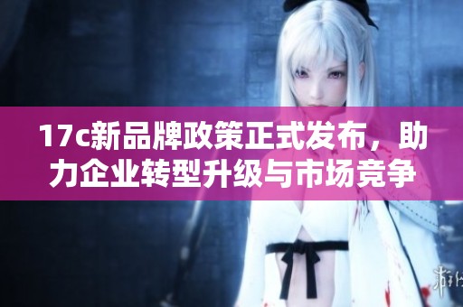 17c新品牌政策正式發(fā)布，助力企業(yè)轉(zhuǎn)型升級與市場競爭