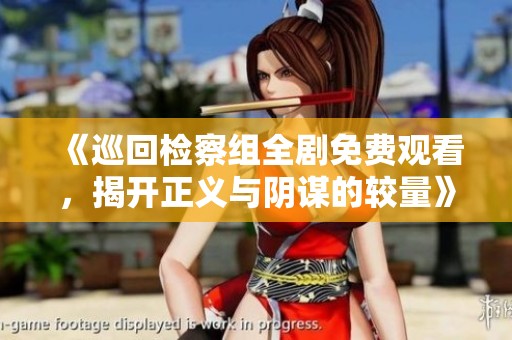 《巡回檢察組全劇免費觀看，揭開正義與陰謀的較量》