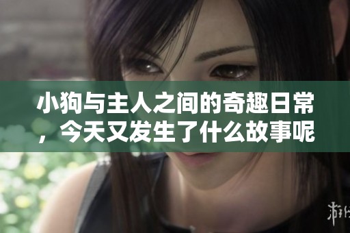 小狗與主人之間的奇趣日常，今天又發(fā)生了什么故事呢