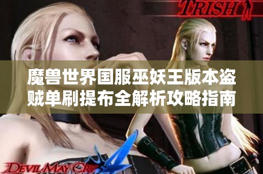 魔獸世界國服巫妖王版本盜賊單刷提布全解析攻略指南