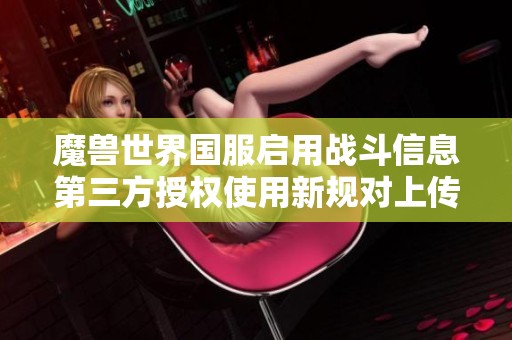 魔獸世界國服啟用戰(zhàn)斗信息第三方授權(quán)使用新規(guī)對上傳W的影響