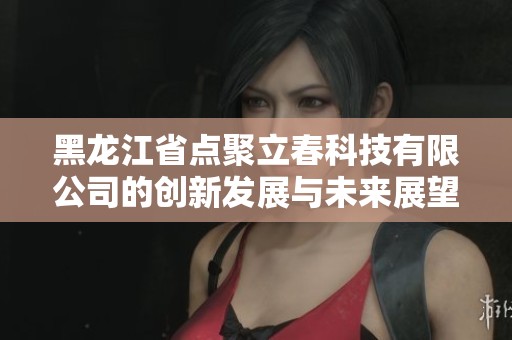 黑龍江省點聚立春科技有限公司的創新發展與未來展望