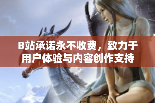 B站承諾永不收費，致力于用戶體驗與內容創作支持