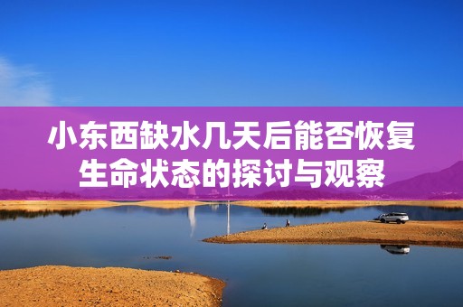 小東西缺水幾天后能否恢復生命狀態(tài)的探討與觀察