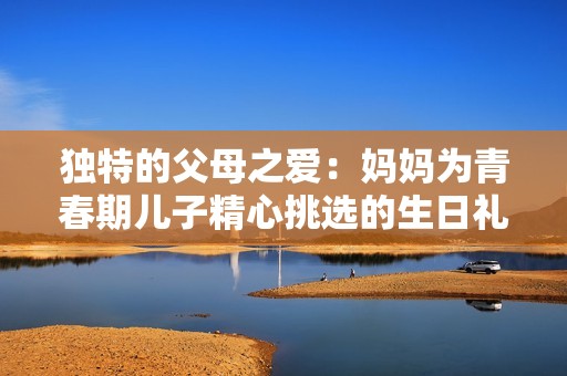 獨(dú)特的父母之愛(ài)：媽媽為青春期兒子精心挑選的生日禮物