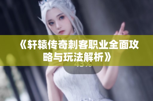 《軒轅傳奇刺客職業全面攻略與玩法解析》