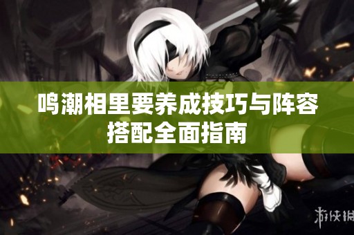 鳴潮相里要養(yǎng)成技巧與陣容搭配全面指南