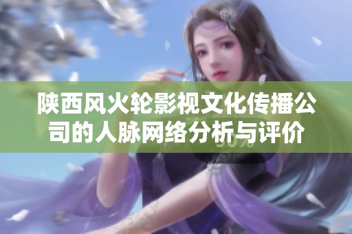 陜西風火輪影視文化傳播公司的人脈網絡分析與評價