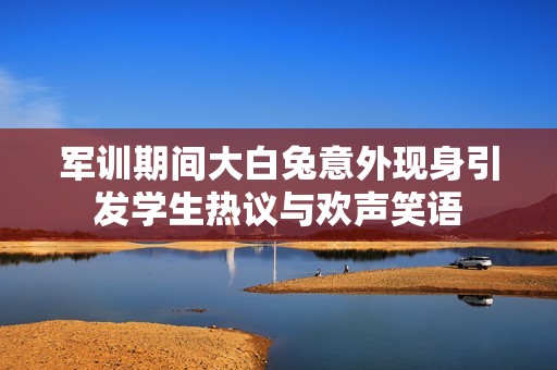 軍訓期間大白兔意外現身引發學生熱議與歡聲笑語