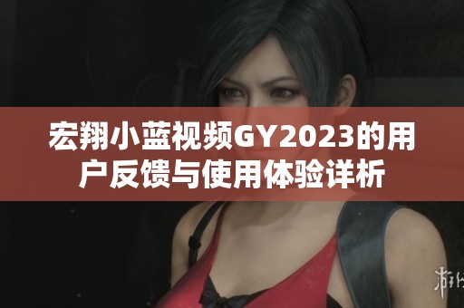 宏翔小藍視頻GY2023的用戶反饋與使用體驗詳析