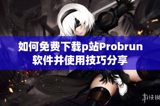 如何免費下載p站Probrun軟件并使用技巧分享