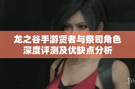 龍之谷手游賢者與祭司角色深度評測及優缺點分析