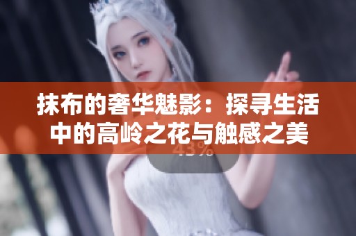 抹布的奢華魅影：探尋生活中的高嶺之花與觸感之美