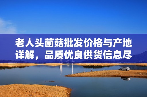 老人頭菌菇批發價格與產地詳解，品質優良供貨信息盡在阿里巴巴