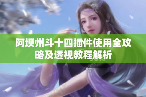 阿壩州斗十四插件使用全攻略及透視教程解析