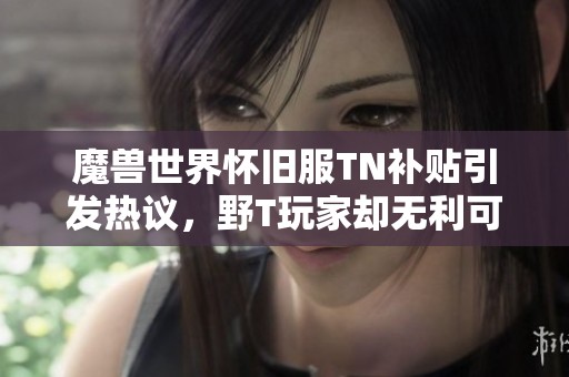 魔獸世界懷舊服TN補貼引發熱議，野T玩家卻無利可圖