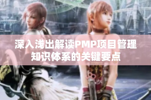 深入淺出解讀PMP項目管理知識體系的關鍵要點