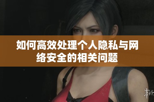 如何高效處理個人隱私與網(wǎng)絡(luò)安全的相關(guān)問題