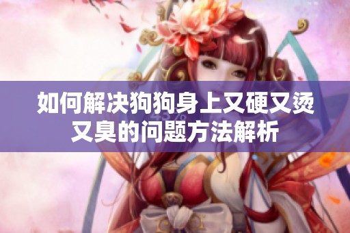 如何解決狗狗身上又硬又燙又臭的問題方法解析