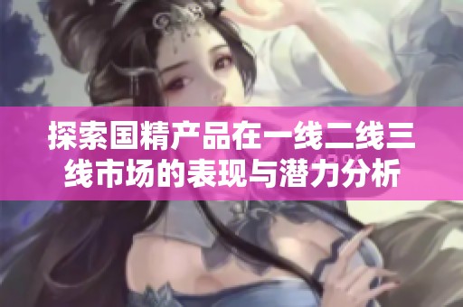 探索國精產品在一線二線三線市場的表現與潛力分析