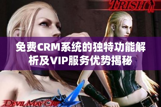 免費CRM系統的獨特功能解析及VIP服務優勢揭秘