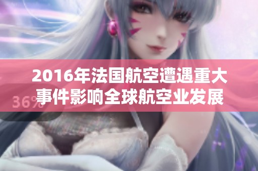 2016年法國航空遭遇重大事件影響全球航空業發展