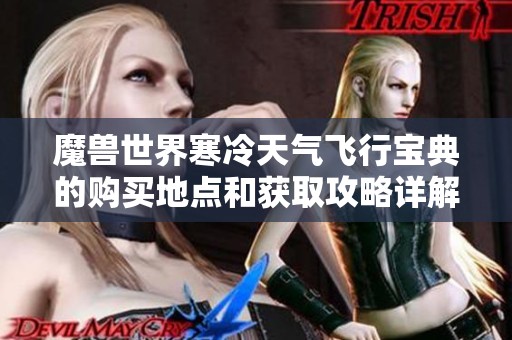 魔獸世界寒冷天氣飛行寶典的購買地點和獲取攻略詳解