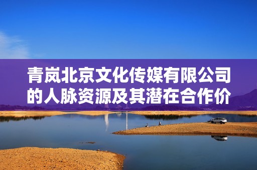青嵐北京文化傳媒有限公司的人脈資源及其潛在合作價值探討
