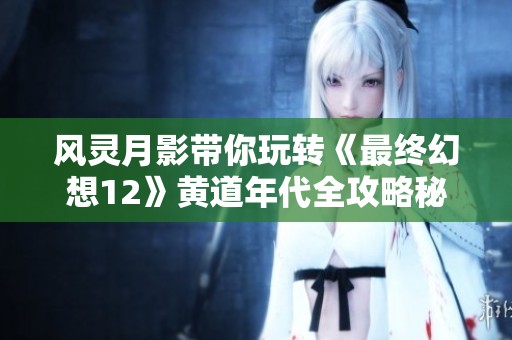 風靈月影帶你玩轉(zhuǎn)《最終幻想12》黃道年代全攻略秘籍分享